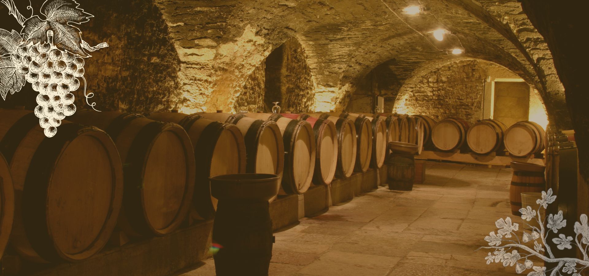 Explore our Red, White, Rosé & Sparkling Wines